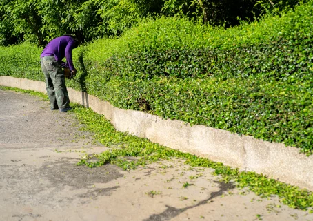 Herriau Paysage Paysagiste Saint Hilaire Du Maine Debroussaillage